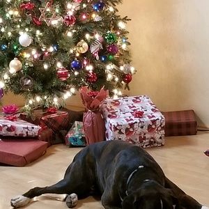 Meet your Posher, Corena